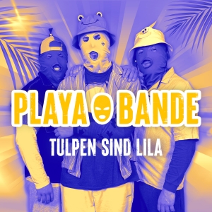 Playabande - Tulpen sind lila