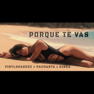 Vinylshakerz x Pachanta - Porque Te Vas (feat. KINGA) (AFRO House Mix)